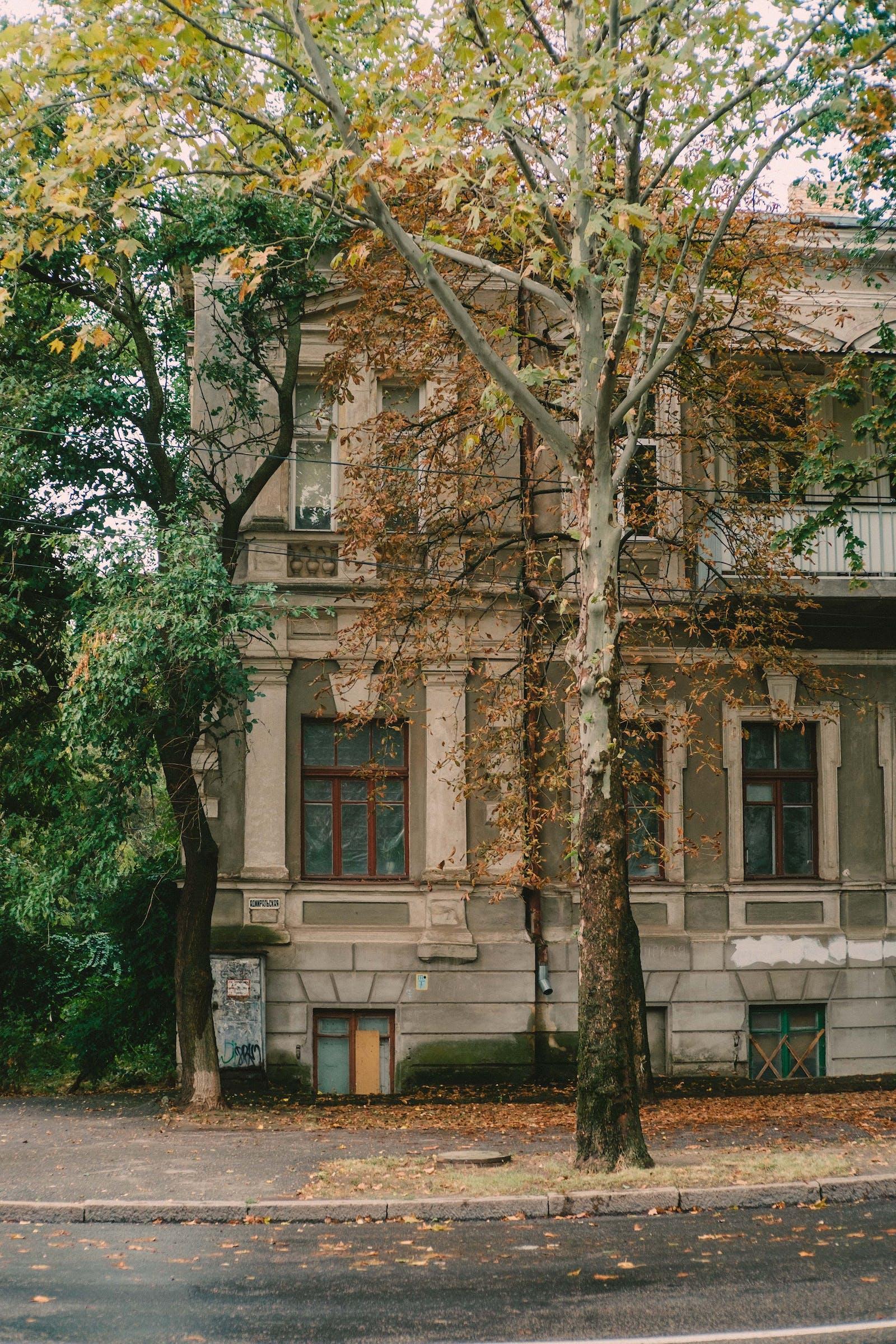 Pexels photo 9823647