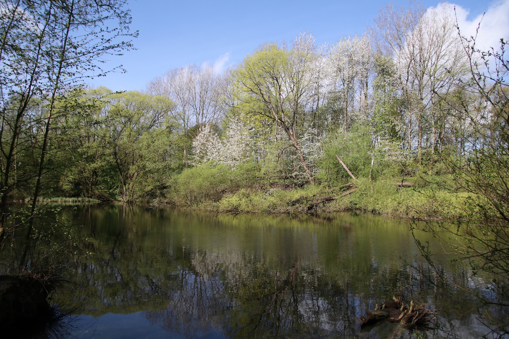 20180415 Wolvenberg Mona Van Dousselaere