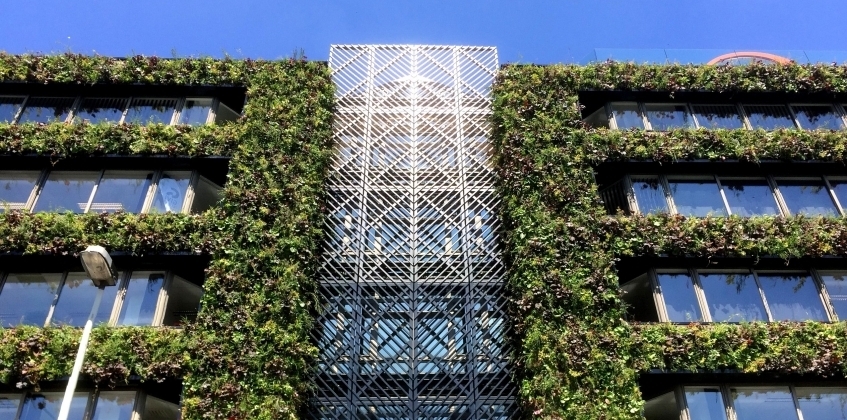 Greenhouse Antwerp Semper Greenwall 3