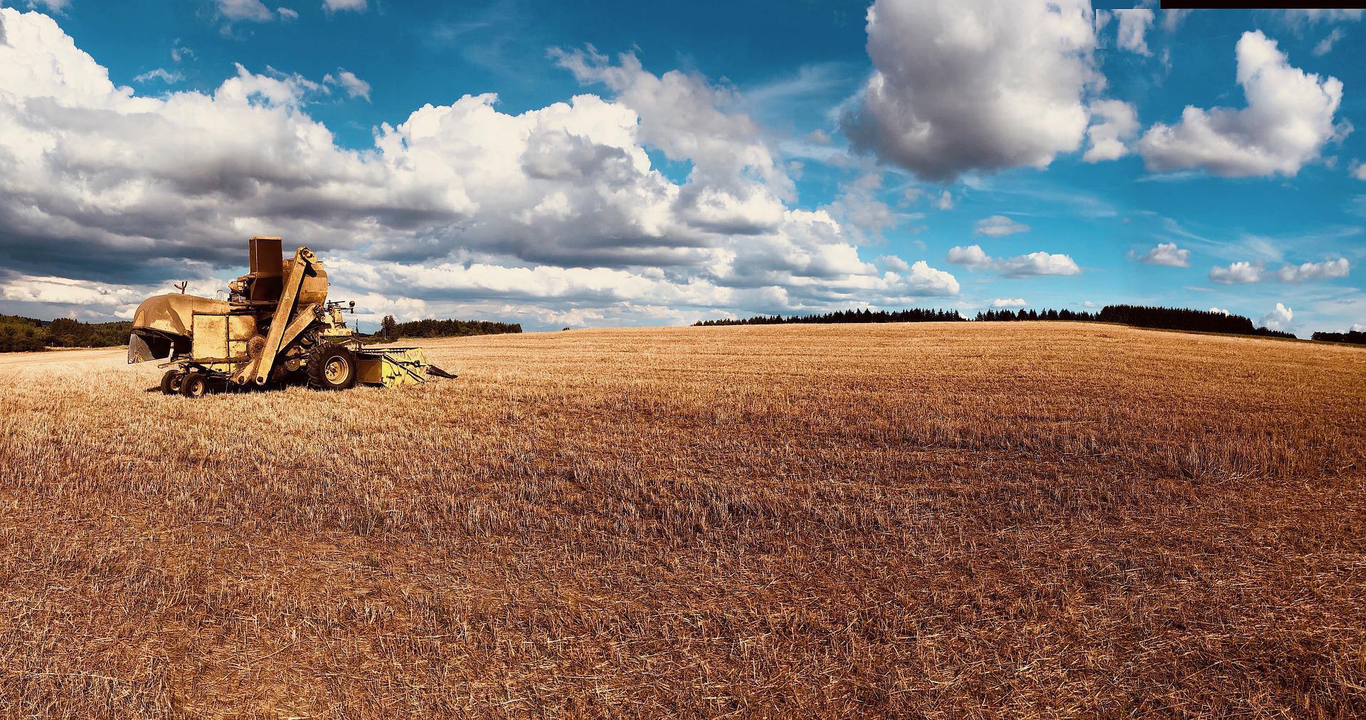 Field g42f5c4c4f 1920