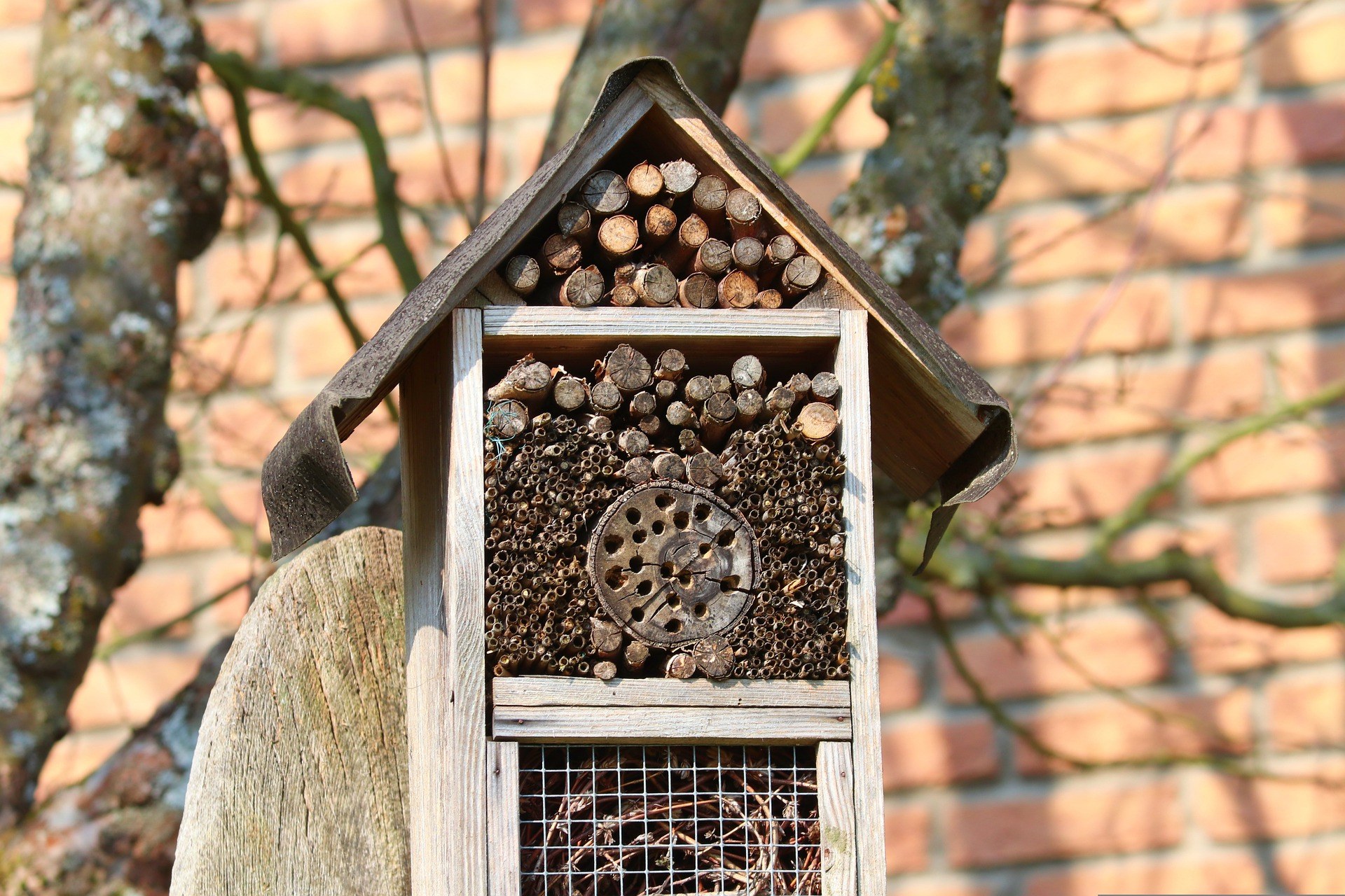 Insect hotel g440092af3 1920
