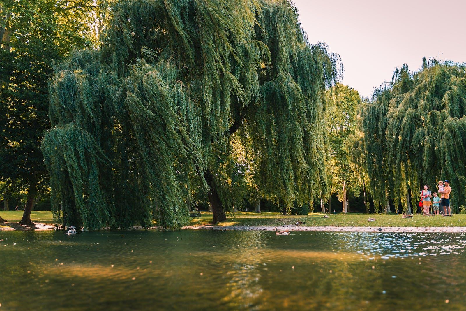 Pexels photo 9864192