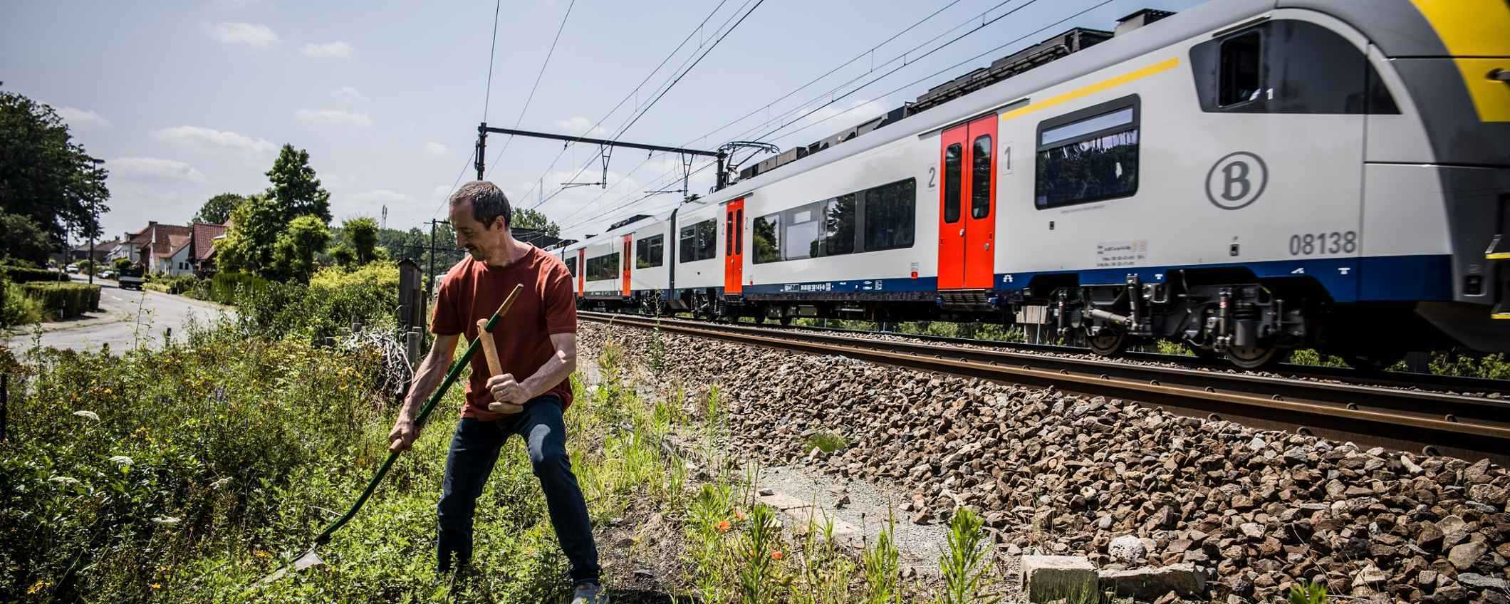 Triodoshippo hero Image Desktop